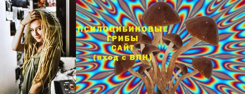 Псилоцибиновые грибы Magic Shrooms  как найти закладки  Белая Калитва 